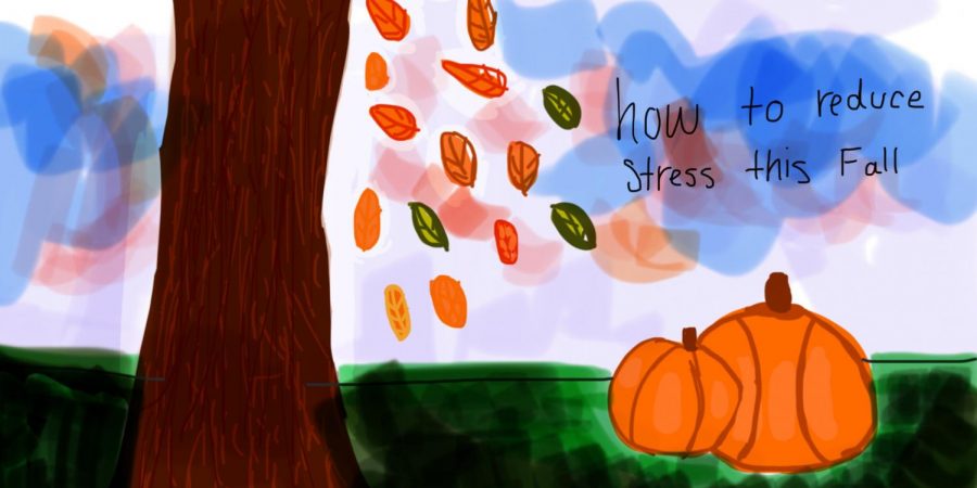 How to Manage Stress During COVID-19